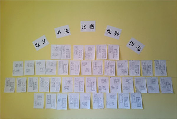Chinese Activity Cla