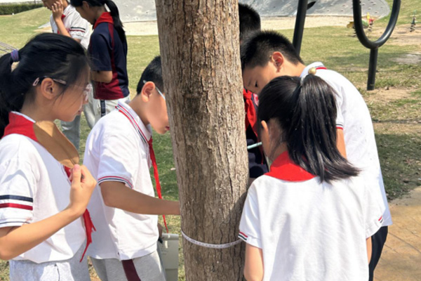 Math Trail